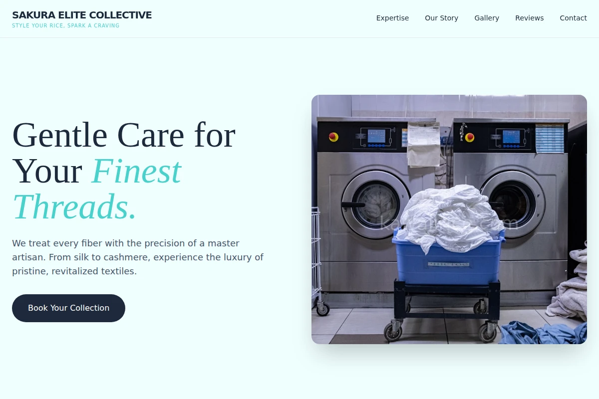 Cake Laundry